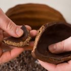 Cabosse Signature NEJA Pâtisserie - Vue 2