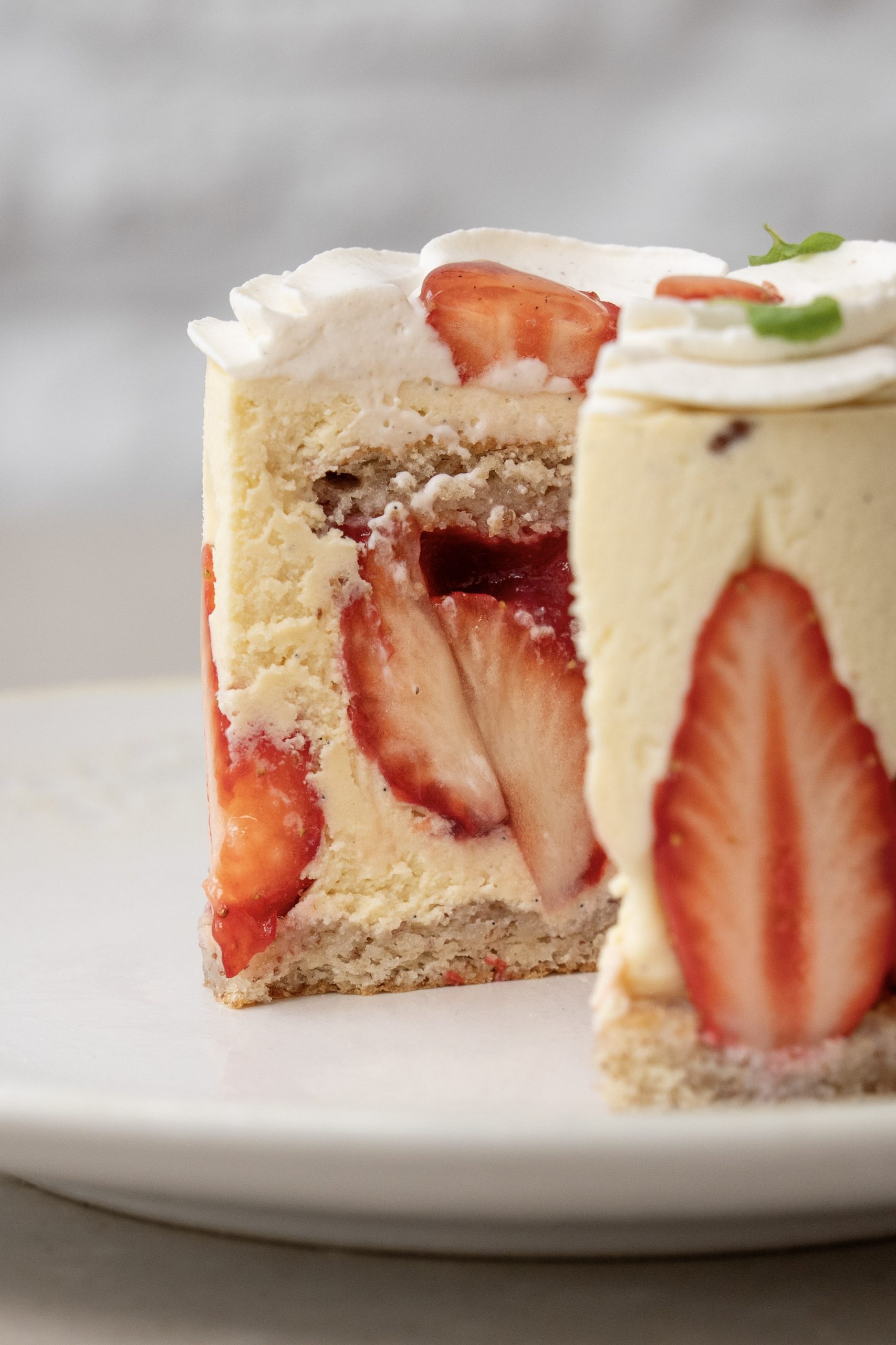 Le Fraisier - Individuel - NEJA Pâtisserie Vue 2